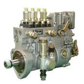 PM injection pump